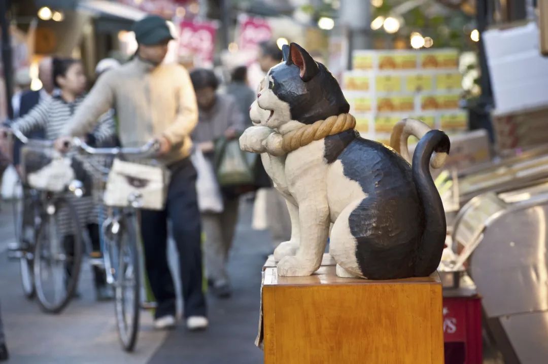 南瓜、澡堂、會議中心？你的日本之行可錯過太多 旅遊 第116張