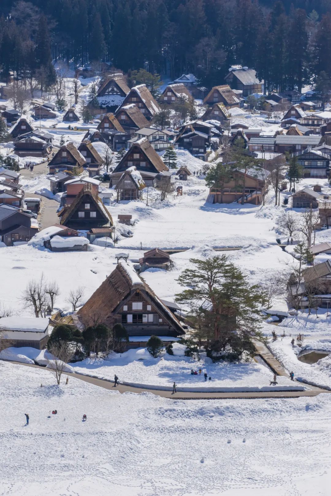 南瓜、澡堂、會議中心？你的日本之行可錯過太多 旅遊 第43張