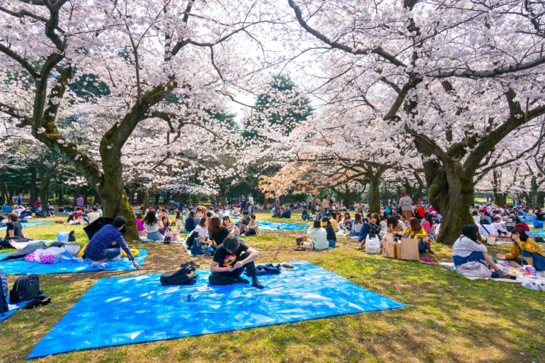 南瓜、澡堂、會議中心？你的日本之行可錯過太多 旅遊 第97張