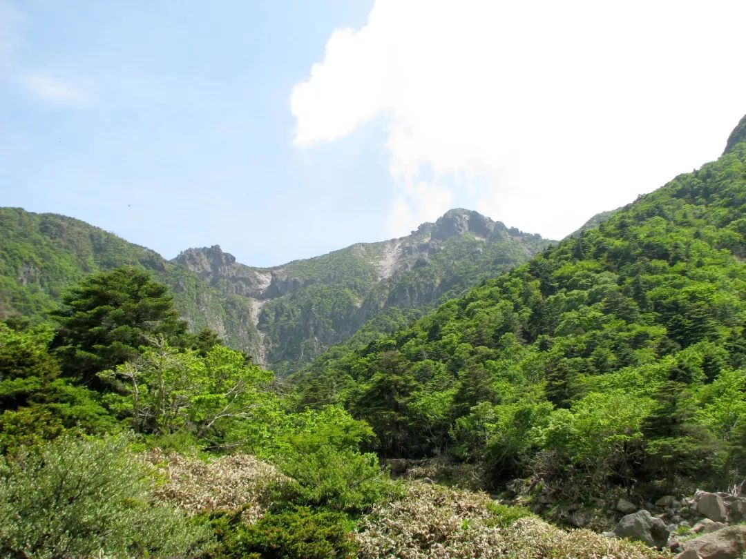 夏天想臨時「出逃」？這幾個免簽海島可以考慮一下 旅遊 第44張