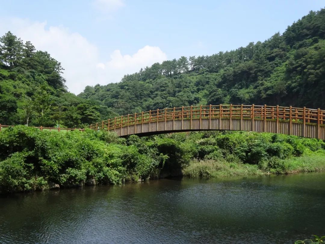 夏天想臨時「出逃」？這幾個免簽海島可以考慮一下 旅遊 第48張