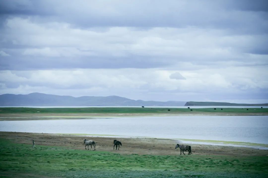 中國的絕美湖泊都在哪兒？除了網紅湖還可以看什麼？ 旅遊 第7張