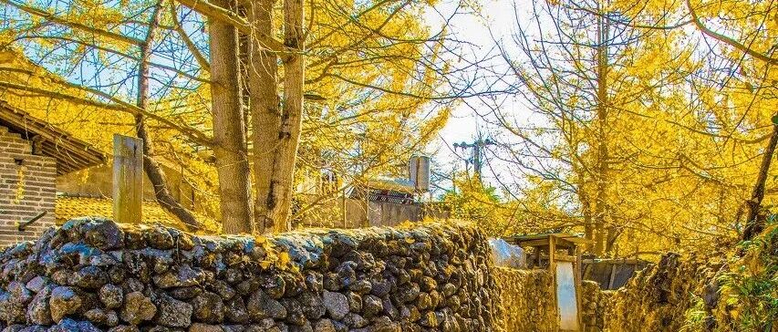泡温泉何必去日本？这里各式温泉任你泡，秋冬季景观一绝