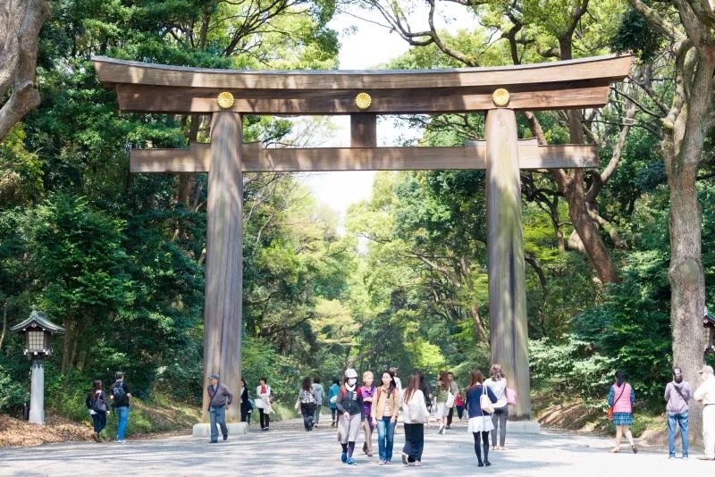 承包你未來的東京遊！四天經典旅行路線已經準備上了～ 旅行 第6張