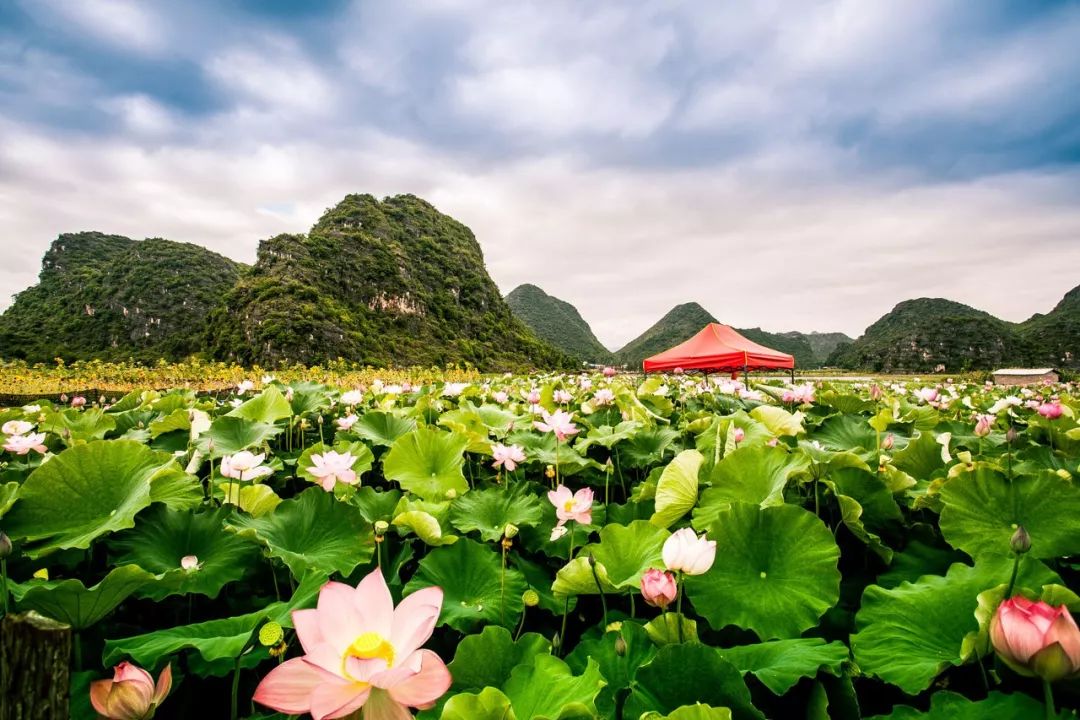 7月去哪兒？正當時的趣味夏日體驗，都在這裡了 旅遊 第35張