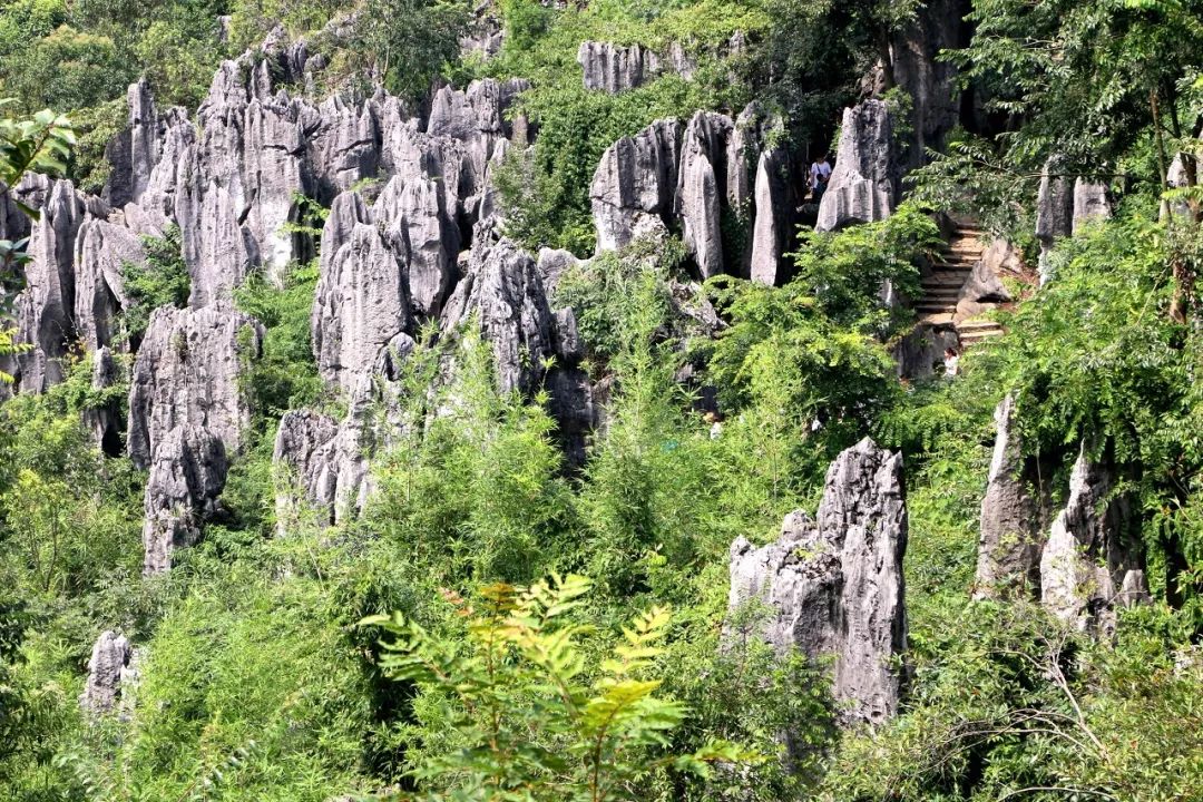 坐上這條新通車的高鐵，吃一路玩一路不是夢 旅遊 第23張