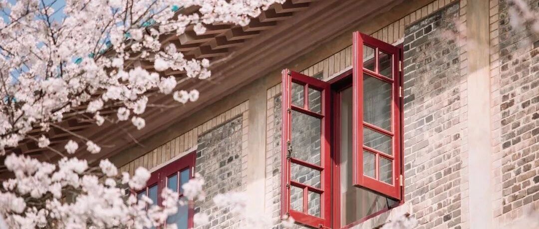 从3月美到5月！错过这些花海胜地，又要等一年（内含福利）