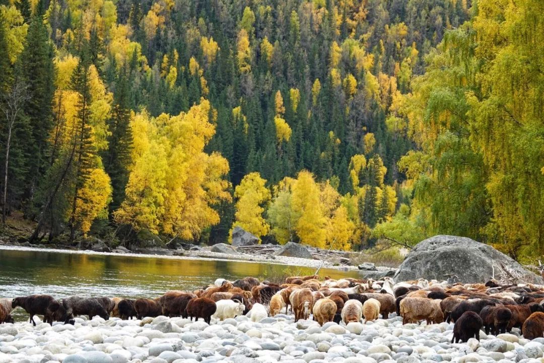 新疆首家世界地質公園揭牌開園！這裡究竟為什麼值得一去？ 旅行 第5張