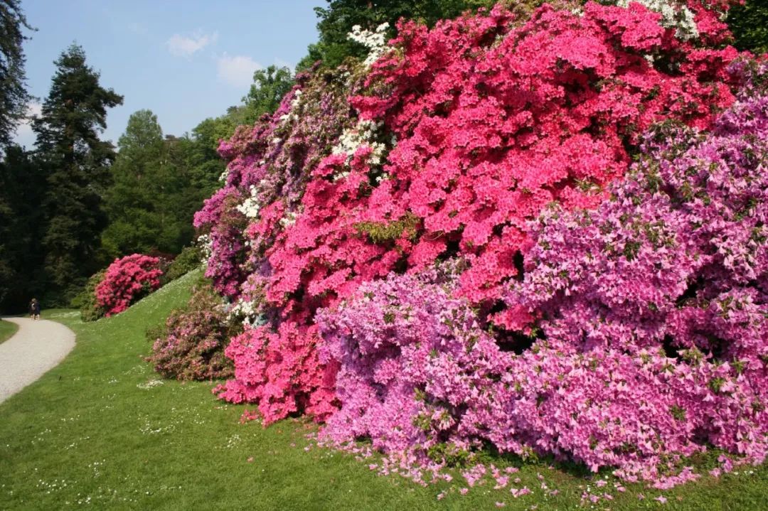 從米蘭之行里擠一天來這兒，別墅、花園、湖泊，給你不一樣的旅行體驗～ 旅行 第33張