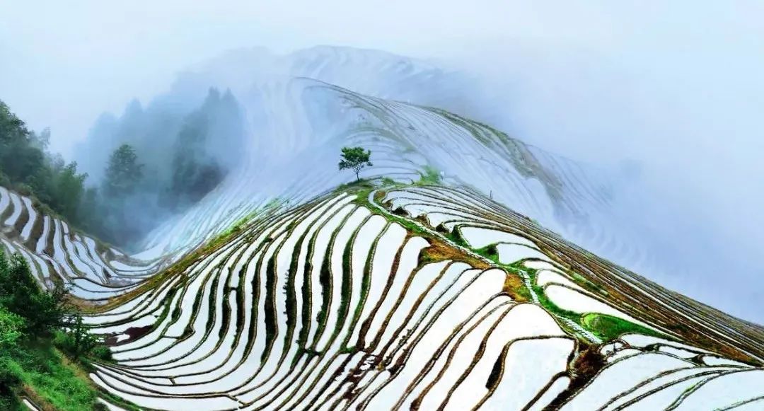 中國首個國家公園即將設立！這片絕美景色值得你專程前往 旅遊 第41張
