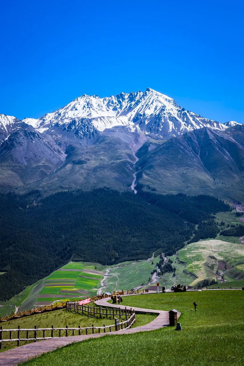 最美的景色都在路上！三條線路帶你領略大西北 旅遊 第37張