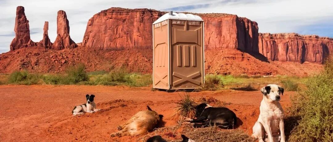 在联合国设立的世界厕所日，一起逛逛那些最美最神奇的厕所......