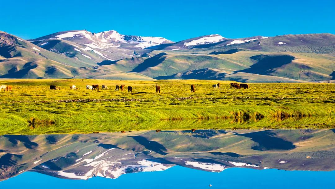 新疆新增2个国家5A级旅游景区！进来感受大自然的魔力