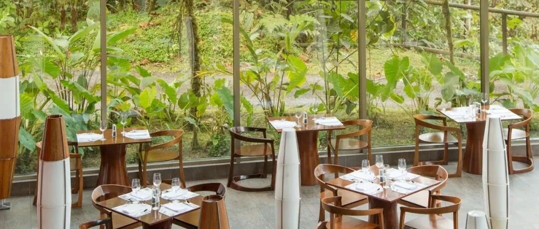 我们为你找到了全球10个生态友好酒店，睡个好觉没那么难！