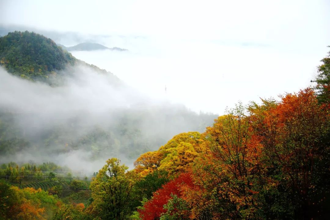 8月起近400家景區免票！趁夏天還沒過去，遊山玩水說走就走 旅遊 第24張