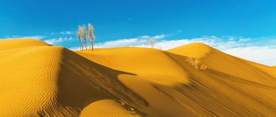 豆瓣9.4分！因《山海情》大火的取景地，你了解的还是太少