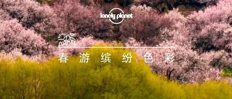 3月去哪里？春日烂漫，赴一场百花之约