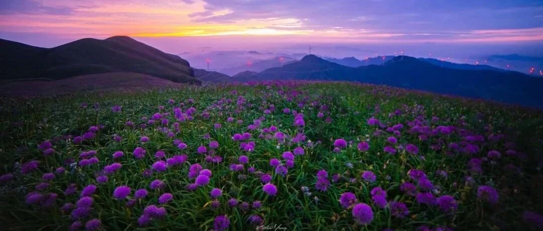 大山深处的花海秘境，四季有景笙歌不断