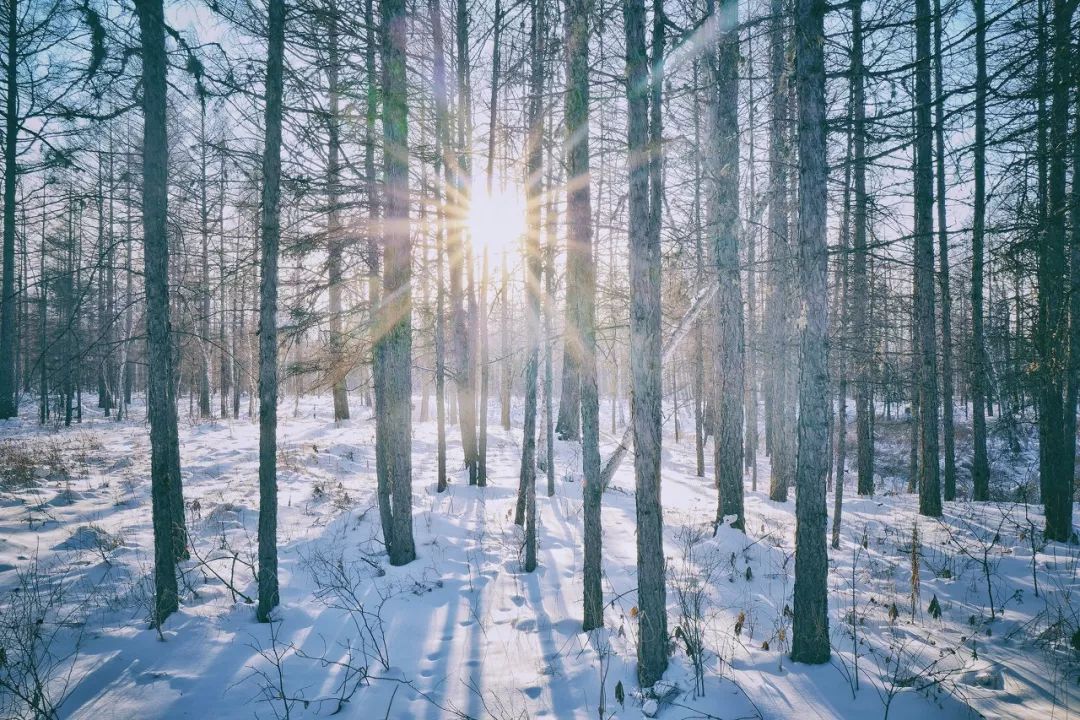 你住的城市從不下雪？來邊境小城滑雪泡湯，滿足對冬天的一切想像！ 新聞 第19張