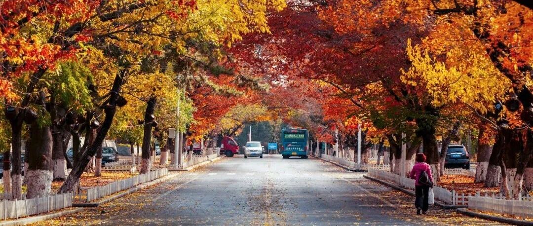 双十一后的第一场旅行，就选省钱好玩的City Walk吧