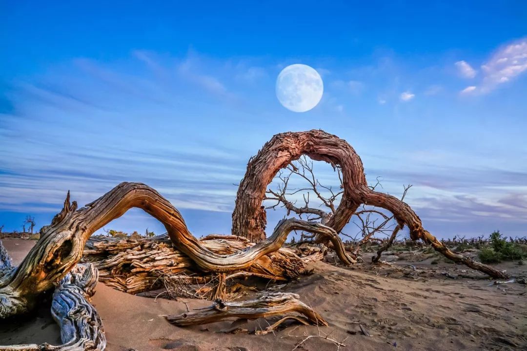 中秋十一去哪兒玩？這些目的地讓你的假期更精彩 旅遊 第20張