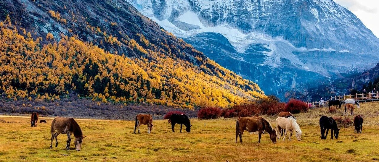 比新疆景美人少还便宜，可能是10月最佳旅行目的地