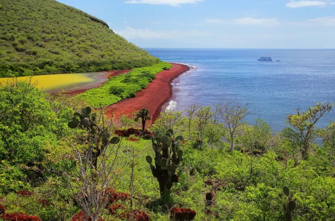 它來了，它帶著海島喜好者的終極夢想來了！ 旅遊 第3張