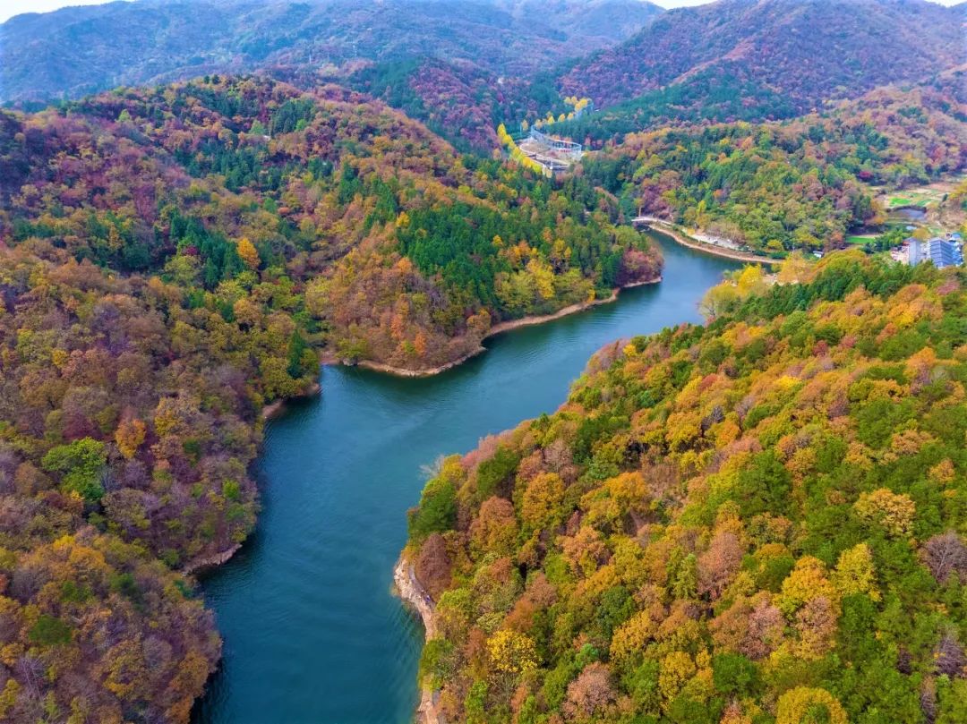 8月起近400家景區免票！趁夏天還沒過去，遊山玩水說走就走 旅遊 第11張