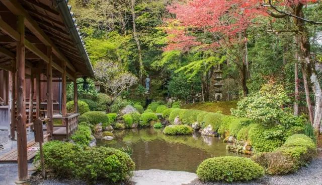 除了一年開兩次的琉璃光院，京都還私藏了些紅葉勝地能讓你驚嘆不已～ 旅行 第28張