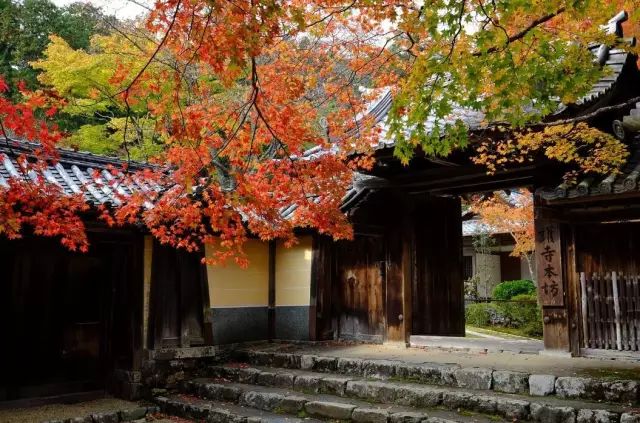 除了一年開兩次的琉璃光院，京都還私藏了些紅葉勝地能讓你驚嘆不已～ 旅行 第32張