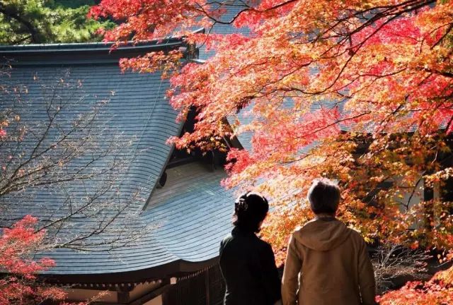 除了一年開兩次的琉璃光院，京都還私藏了些紅葉勝地能讓你驚嘆不已～ 旅行 第30張