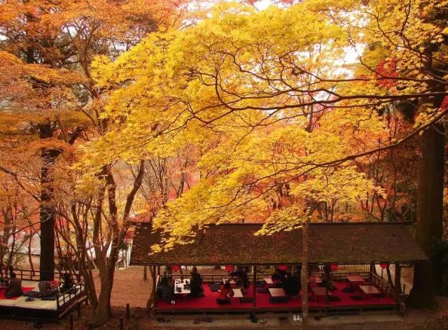 除了一年開兩次的琉璃光院，京都還私藏了些紅葉勝地能讓你驚嘆不已～ 旅行 第31張