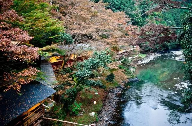 除了一年開兩次的琉璃光院，京都還私藏了些紅葉勝地能讓你驚嘆不已～ 旅行 第33張