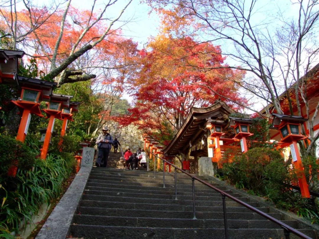 除了一年開兩次的琉璃光院，京都還私藏了些紅葉勝地能讓你驚嘆不已～ 旅行 第21張