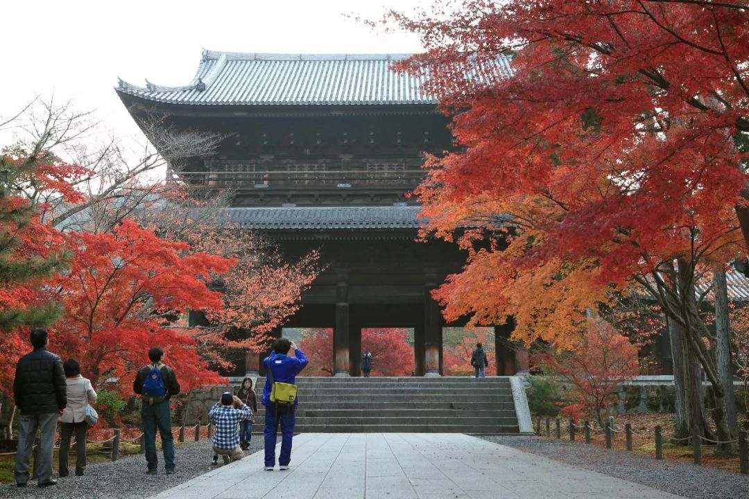 除了一年開兩次的琉璃光院，京都還私藏了些紅葉勝地能讓你驚嘆不已～ 旅行 第15張