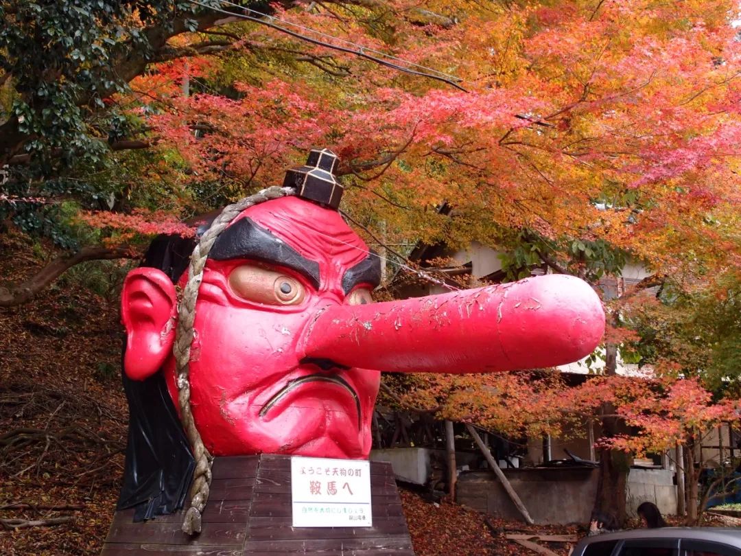 除了一年開兩次的琉璃光院，京都還私藏了些紅葉勝地能讓你驚嘆不已～ 旅行 第19張