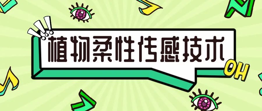 常大科协丨科技发展保障网络安全