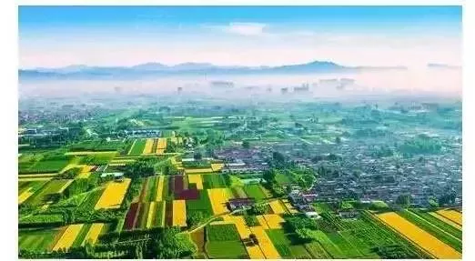 登录查看大图