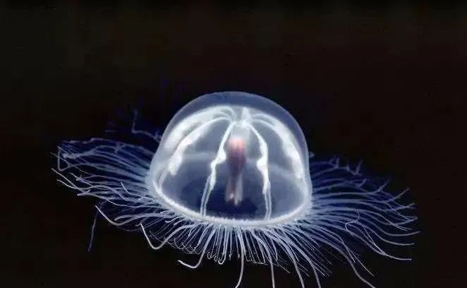 道家揭秘精液背后的玄机（不要为自己的无知买单）