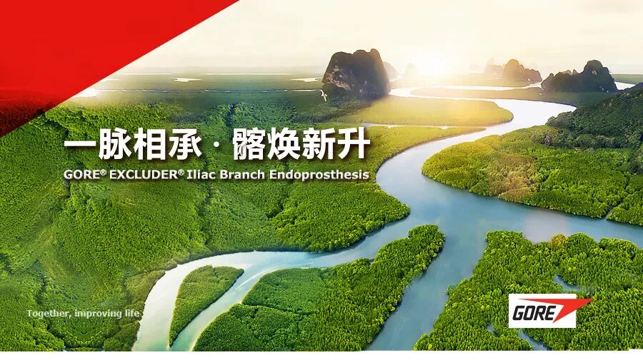 gore医疗怎么样精彩荟萃｜「一脉相承.髂焕新升」主动脉腔内治疗网络研讨会（髂内动脉重建专场）_https://www.jmylbn.com_新闻资讯_第2张