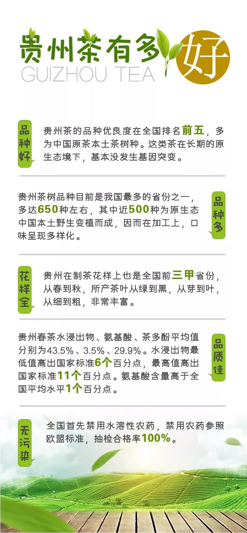 如果我不说，你真不知道贵州茶到底有多好