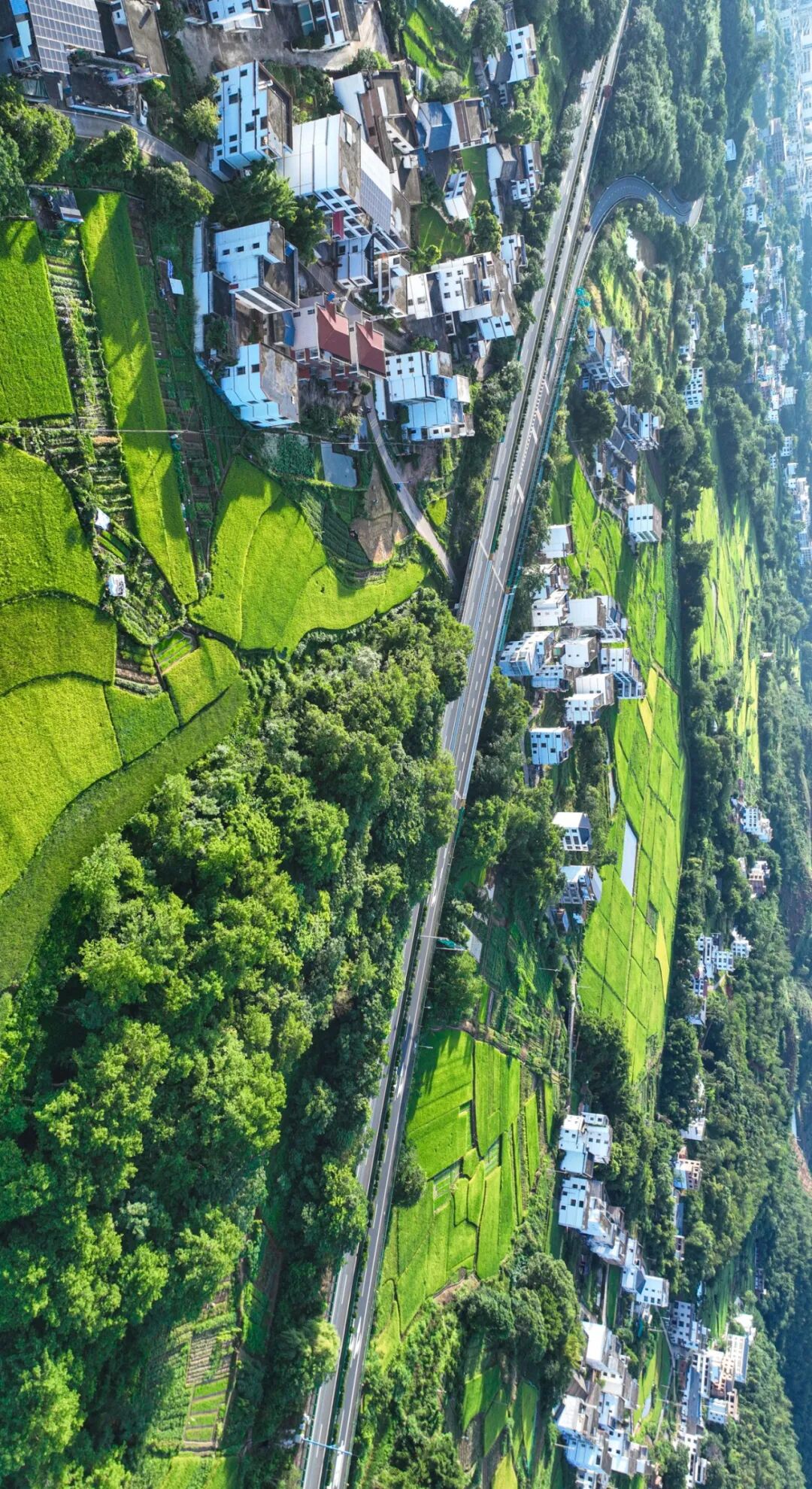 江西赣州：党建引领聚合力  美丽乡村展新颜 (1).jpg
