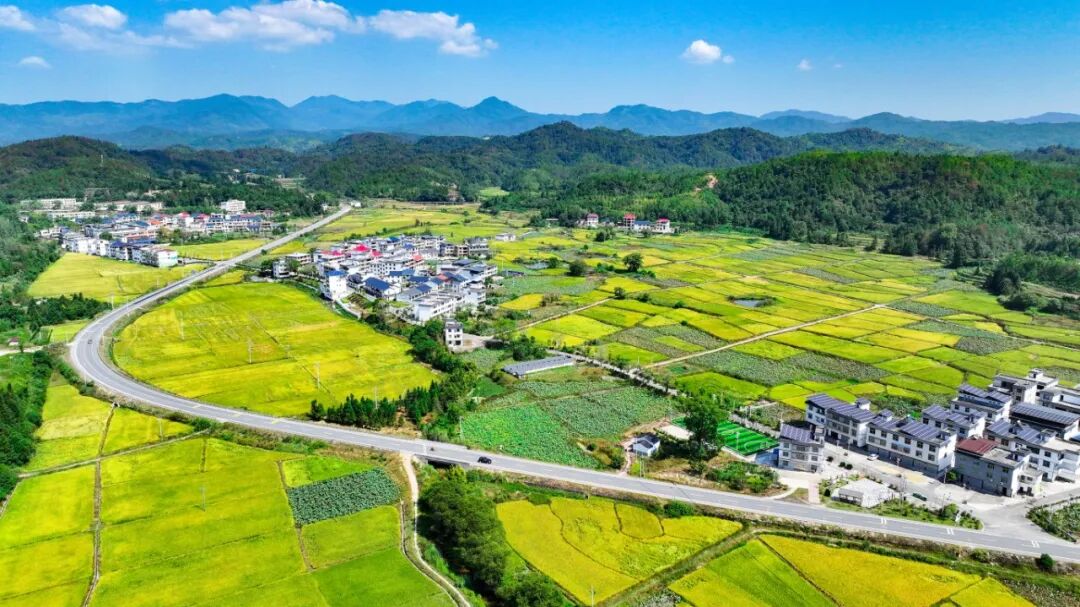 四好农村公路打通致富路。.jpg