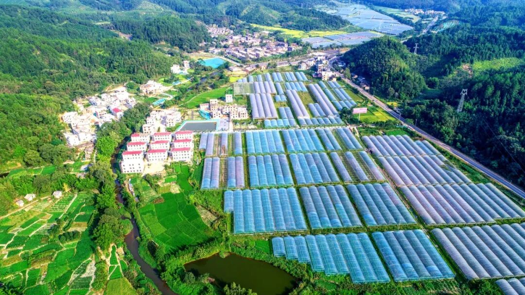 全南县龙源坝镇雅溪村蔬菜种植基地.jpg