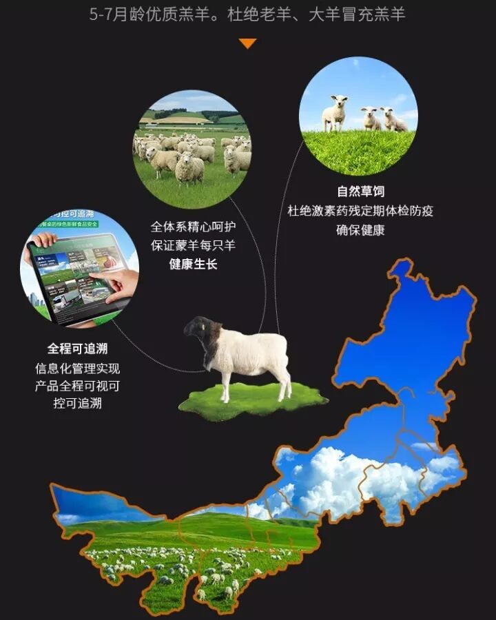 用蒙羊牧业羊肉涮火锅,才是正经火锅味