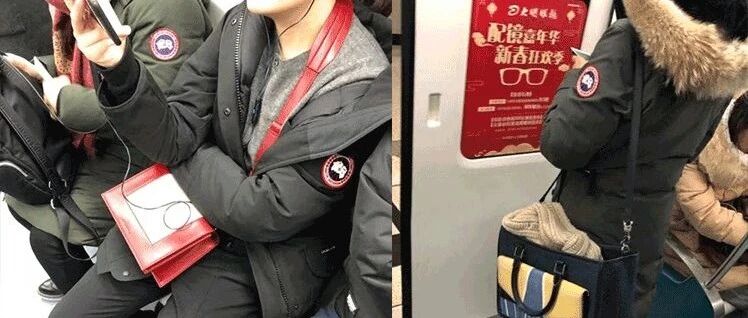 波司登和加拿大鹅差在一个logo