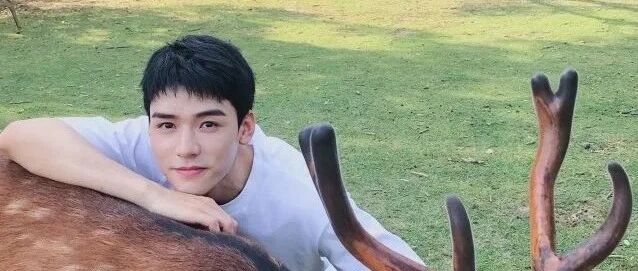 几十套模版分享，明星们都这么穿!