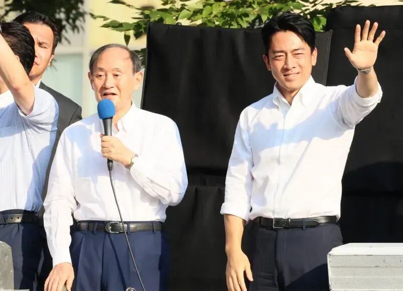 小泉进次郎回应选举失利