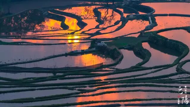 早听：人品，是一个人最好的学历