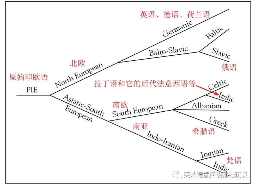 利用汉语拼音认识五百拉丁语词根轻松读懂英语原版语法教材 英法德意西语都是玩具 微信公众号文章阅读 Wemp